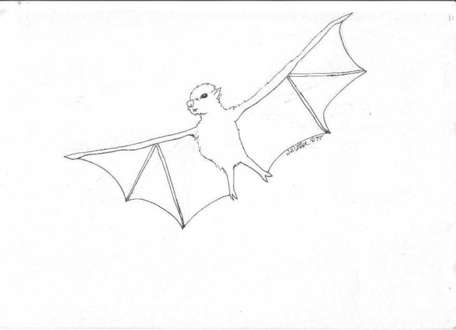 Bat11