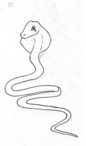 snake13