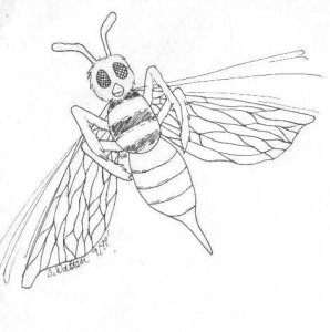 Bee14