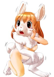 TF1211 Rabbit