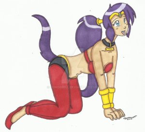 collared  shantae by cqmorrell-d86oxqr