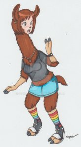 llama by cqmorrell