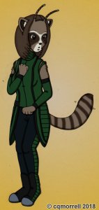 mantis raccoon  by cqmorrell