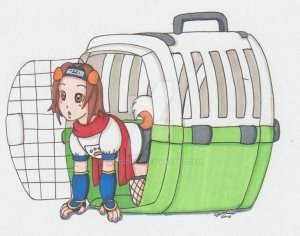 ninja puppy carrier by cqmorrell